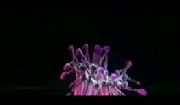 舞蹈视频简单易学好看,轻松舞动，惊艳全场！